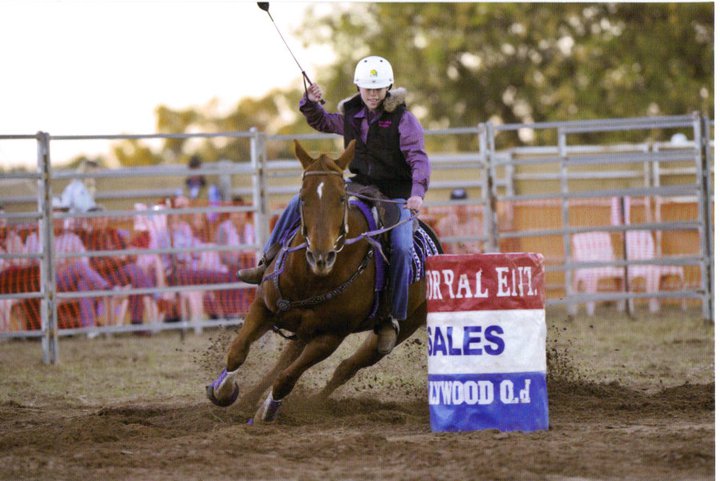 Oakey Hi Point Horse